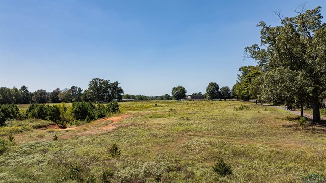 view of nature with a rural view