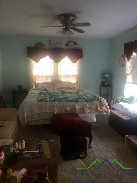 bedroom featuring ceiling fan and multiple windows