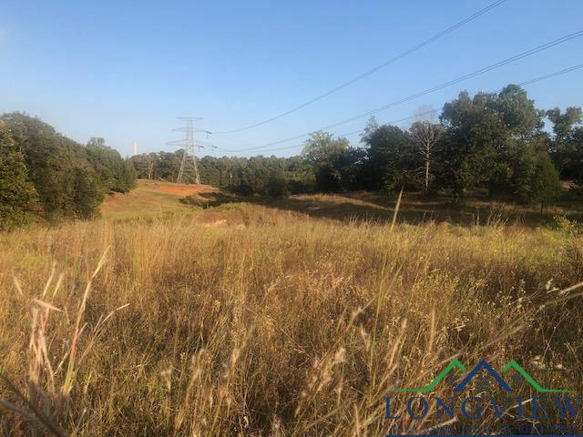 view of landscape featuring a rural view