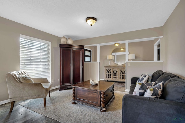 living room with wood-type flooring and a textured ceiling