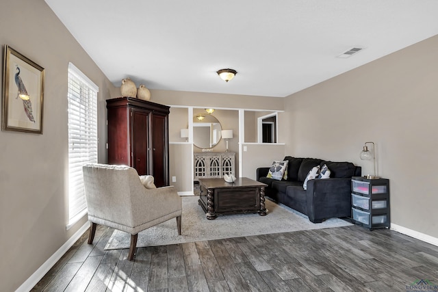 living room featuring hardwood / wood-style floors and plenty of natural light