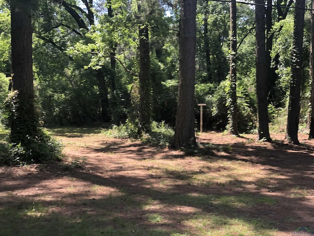 602 Premier Rd, Longview, TX 75604 - view of wooded area