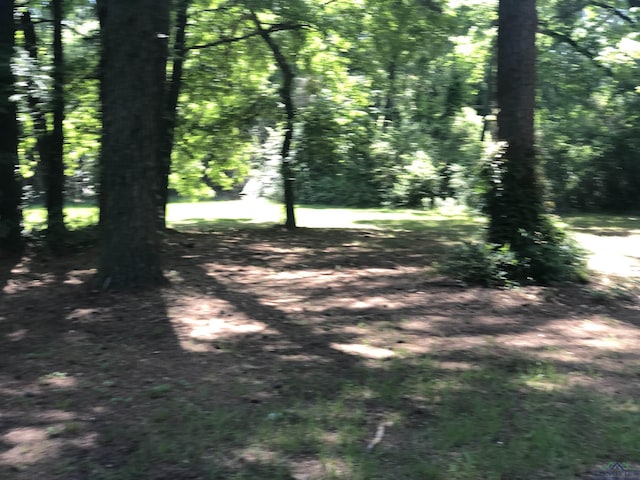 602 Premier Rd, Longview, TX 75604 - view of yard featuring a forest view