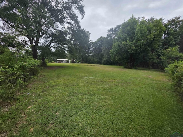 351 Mollie Ln, Marshall, TX 75672 - photo 19