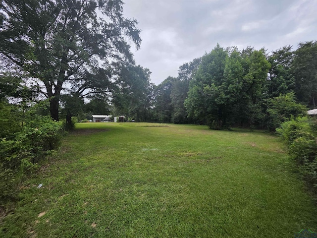 351 Mollie Ln, Marshall, TX 75672 - photo 20