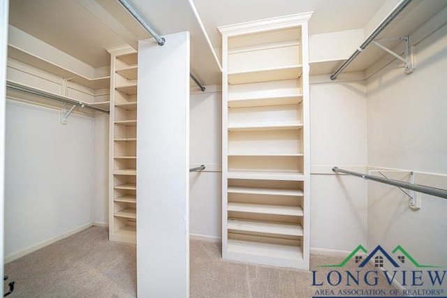 walk in closet with light colored carpet