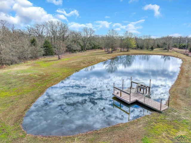 dock area featuring a yard and a water view