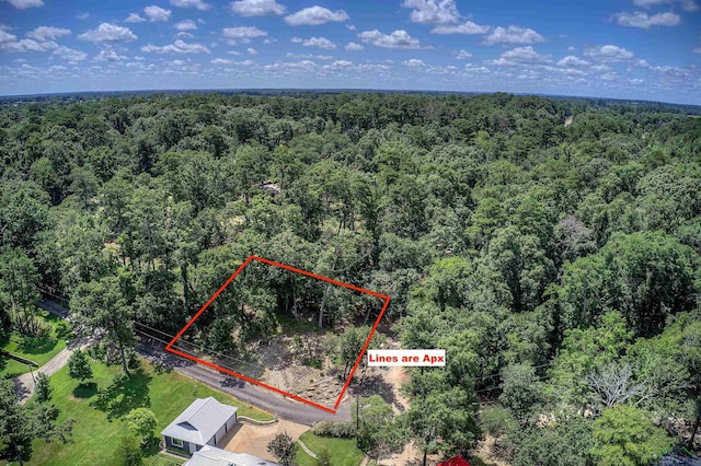 203 Hickory Hill Ln, Scroggins, TX 75480 - photo 43