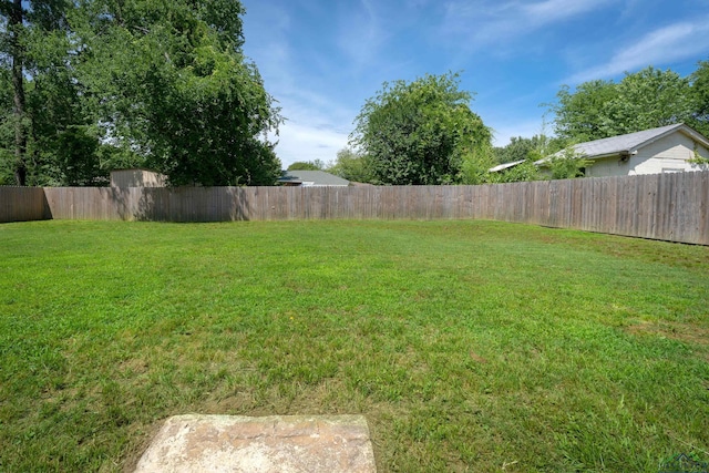 view of yard