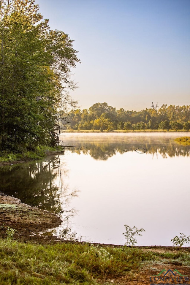 LOT19 Fm 2015, Tyler, TX 75708