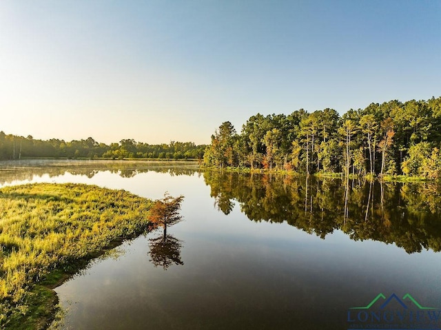 LOT19 Fm 2015, Tyler, TX 75708