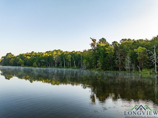 LOT19 Fm 2015, Tyler, TX 75708