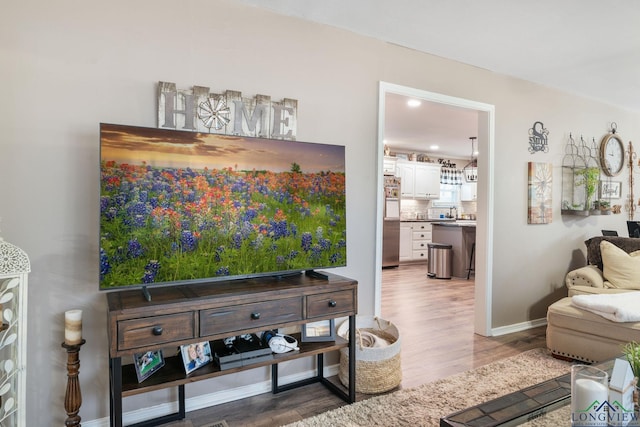 living room with hardwood / wood-style floors