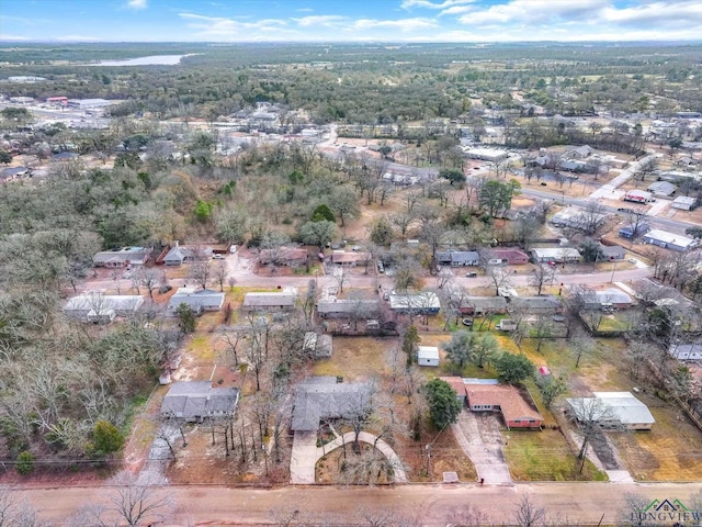 1480 Woodland Dr, Canton, TX 75103 - aerial view