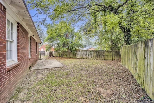 view of yard featuring a patio area