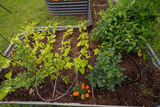 502 Hillcrest, Hughes Springs, TX 75656 - details featuring a vegetable garden