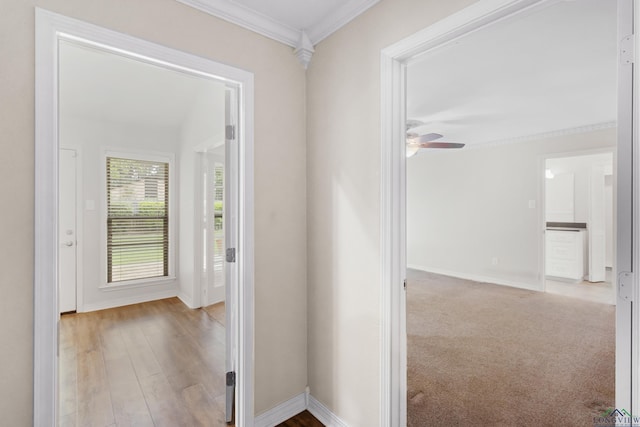 hall featuring wood finished floors, baseboards, and crown molding