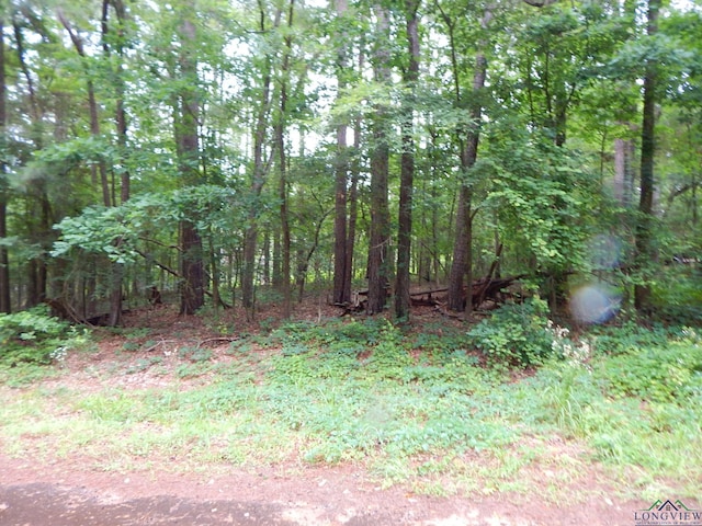 Listing photo 3 for TBD Quiet Oak, Gilmer TX 75644