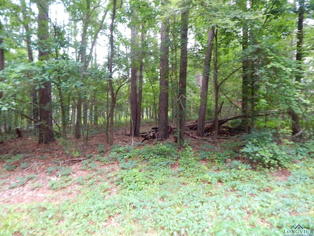 Listing photo 2 for TBD Quiet Oak, Gilmer TX 75644