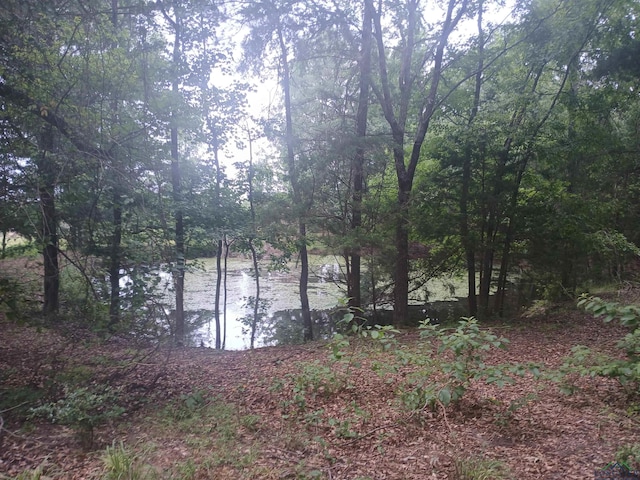 TBD Melvin Smith Rd, Hallsville, TX 75650