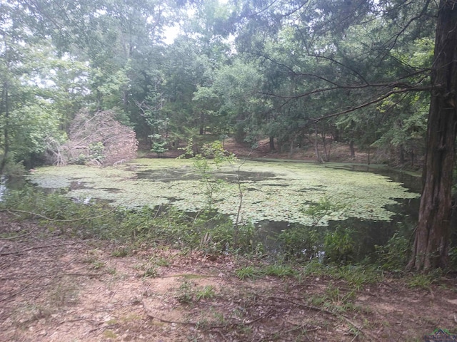 TBD Melvin Smith Rd, Hallsville, TX 75650