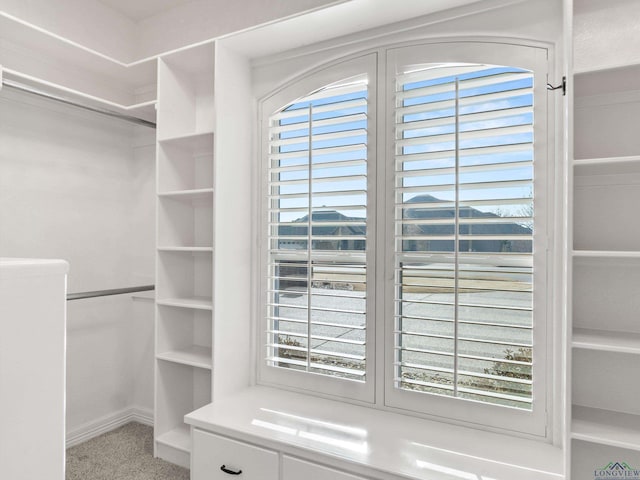 walk in closet with carpet floors