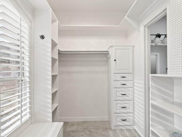 walk in closet with light carpet