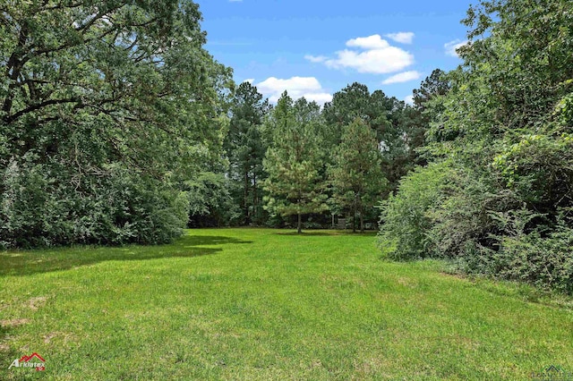 11028 E Fm 2867, Henderson, TX 75654