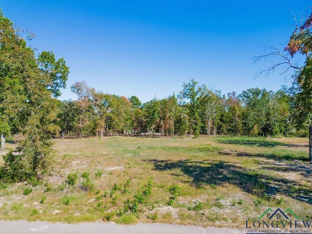 248 Angus Rd, Big Sandy TX, 75755 land for sale