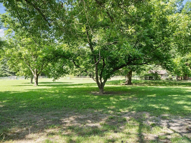 300 Westwood Pkwy, Naples, TX 75568 - photo 24