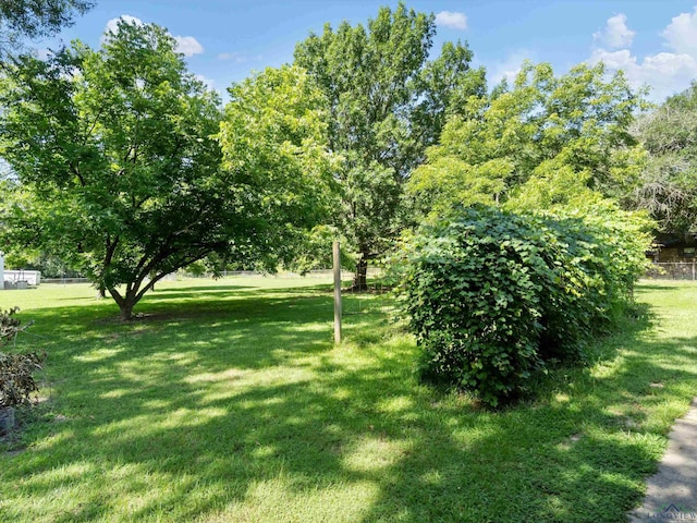 300 Westwood Pkwy, Naples, TX 75568 - photo 23