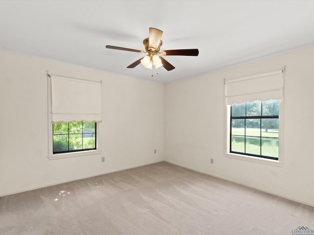 300 Westwood Pkwy, Naples, TX 75568 - photo 21