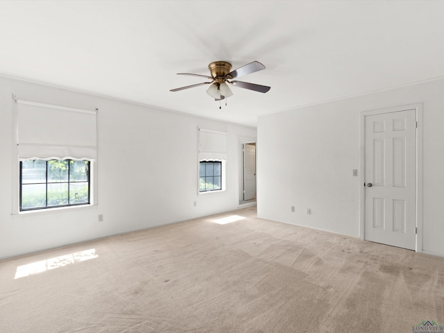 300 Westwood Pkwy, Naples, TX 75568 - photo 15