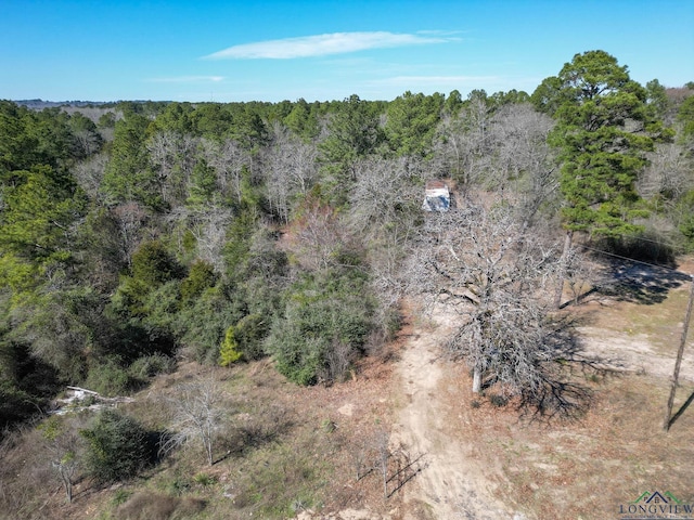 Listing photo 3 for 1181 Water Tower Loop, Big Sandy TX 75755