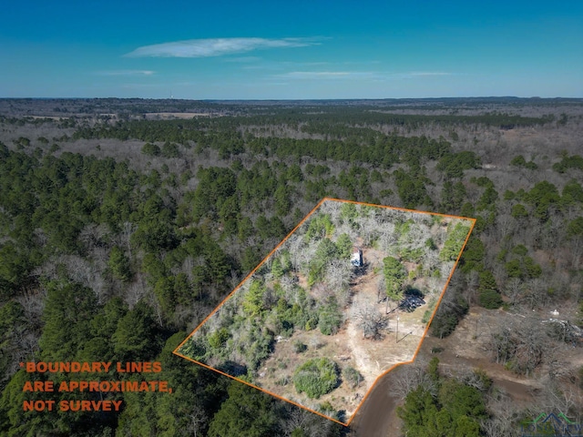 1181 Water Tower Loop, Big Sandy TX, 75755 land for sale