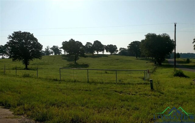TBD Oscar Ragon Rd, Harleton, TX 75651