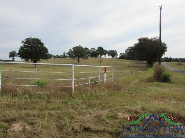 TBD Oscar Ragon Rd, Harleton TX, 75651 land for sale