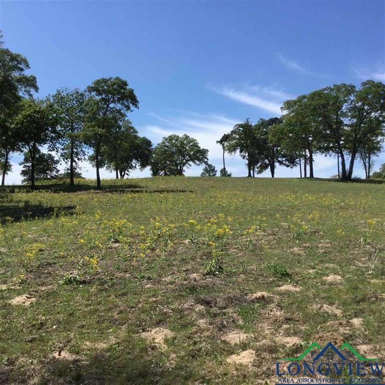TBD Oscar Ragon Rd, Harleton, TX 75651