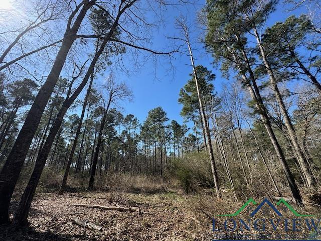 TBD Fm 1662, Laneville, TX 75661