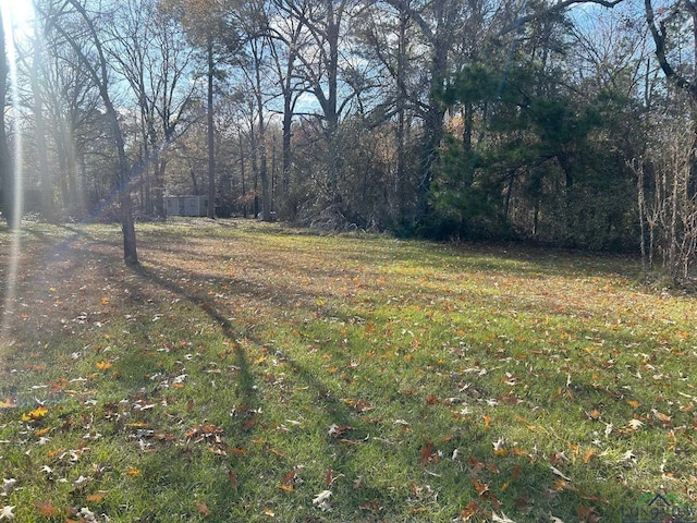16760 Fm 31, Elysian Fields, TX 75642 - photo 14