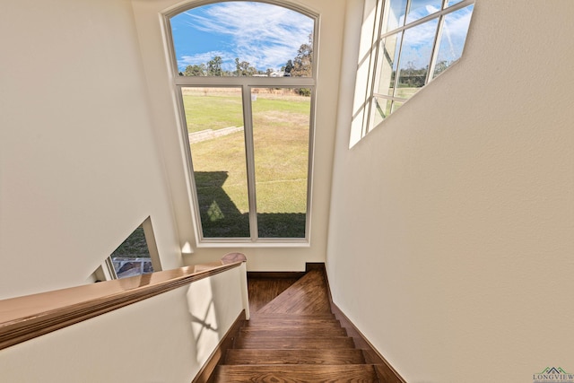 stairway with hardwood / wood-style flooring and plenty of natural light