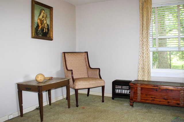 living area featuring carpet