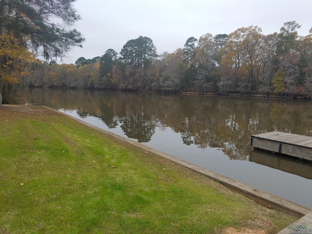 property view of water