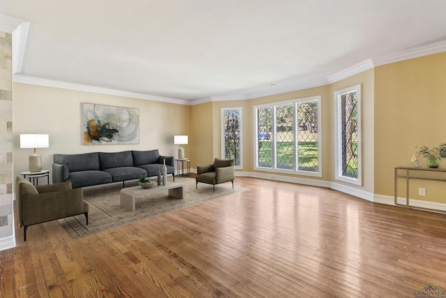 living room featuring crown molding and light wood-type flooring