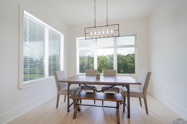 dining room with light hardwood / wood-style floors and a healthy amount of sunlight