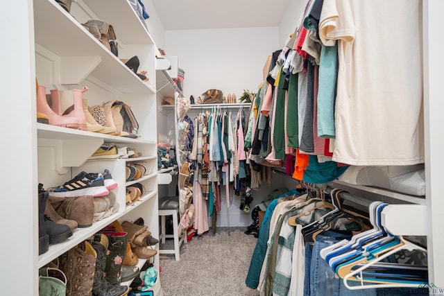 spacious closet featuring carpet floors