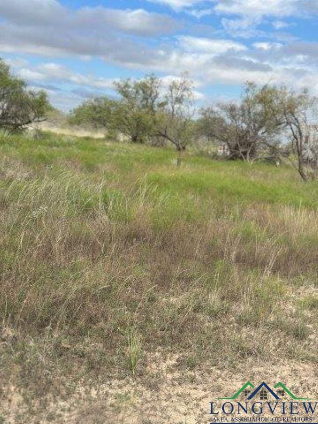 6819 Fm 382nd Rd, Talpa, TX 76882 - photo 3