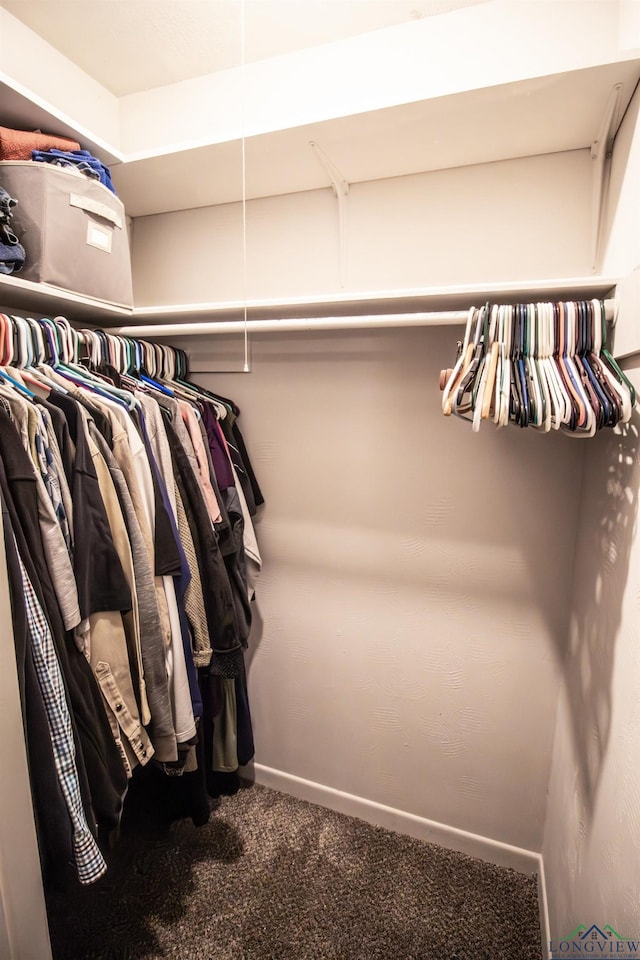 spacious closet featuring carpet