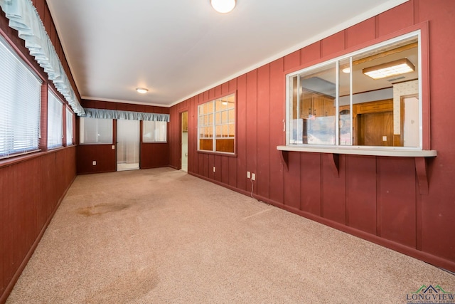 empty room featuring light carpet and crown molding