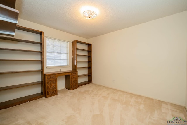 unfurnished office with light colored carpet and a textured ceiling